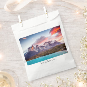 Patagonia Favour Bags