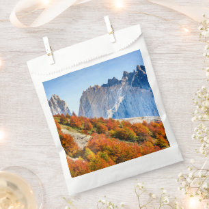 Patagonia Favour Bags