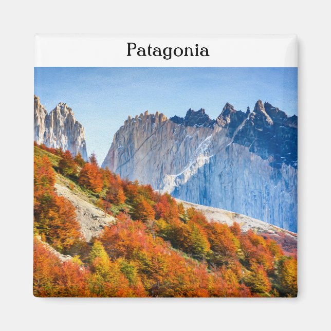 Patagonia Magnet (Front)