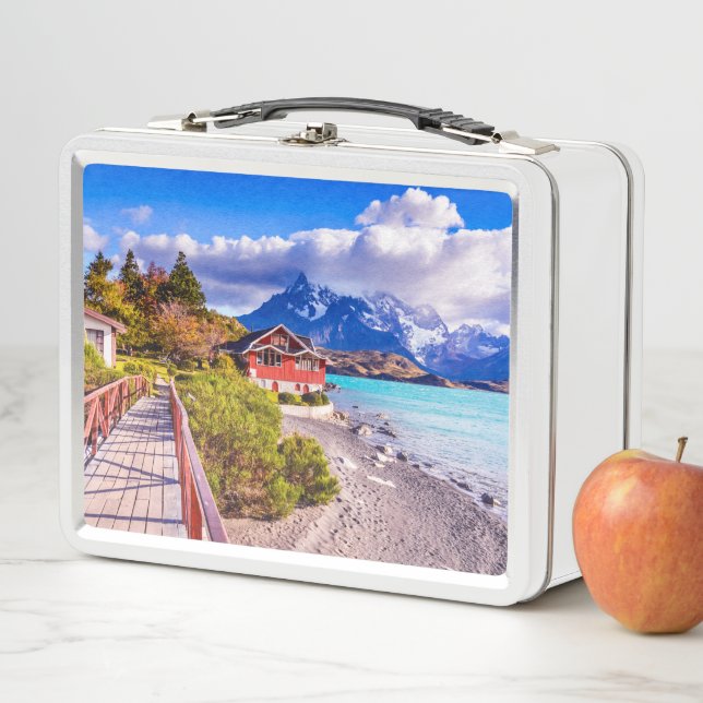 Patagonia Metal Lunch Box (In Situ)