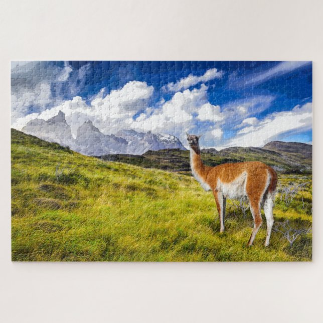 Patagonia Puzzle (Horizontal)