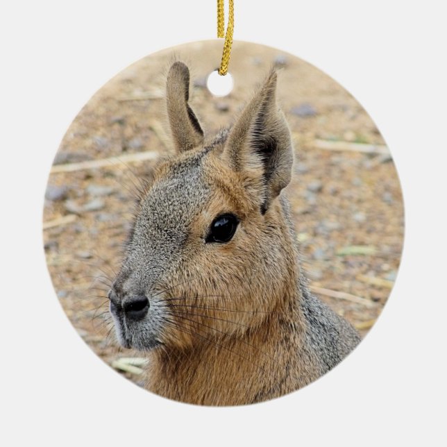 PATAGONIAN MARA   CERAMIC TREE DECORATION (Front)