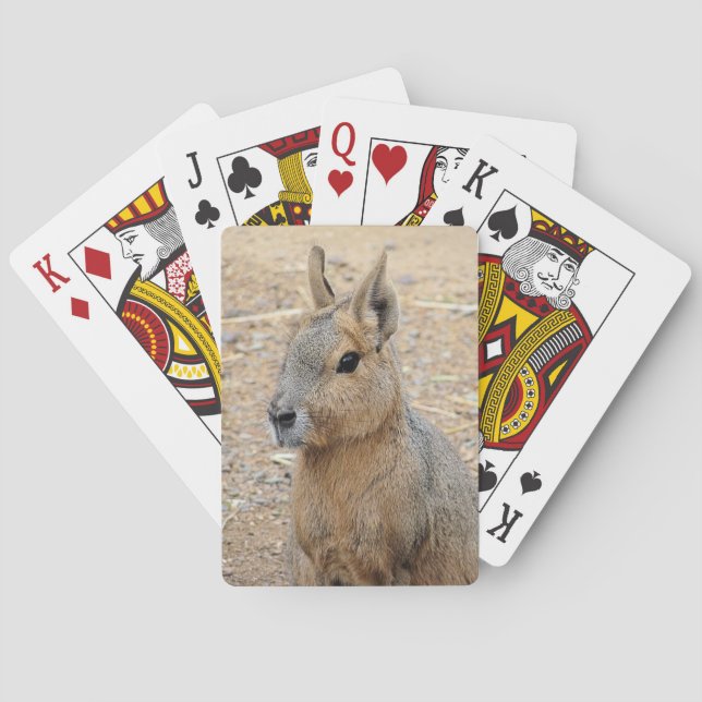 PATAGONIAN MARA PLAYING CARDS (Back)