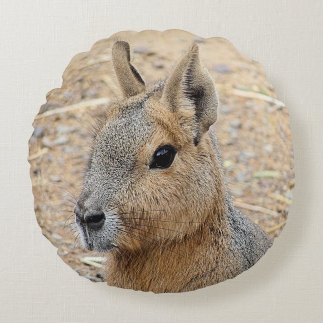 PATAGONIAN MARA ROUND CUSHION (Front)