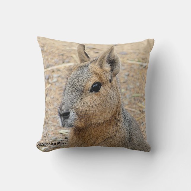 PATAGONIAN MARA WILD ANIMAL CUSHION (Front)