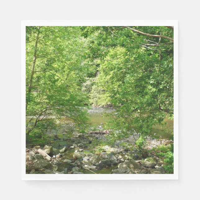 Patapsco River View Maryland Nature Photography Napkin (Front)