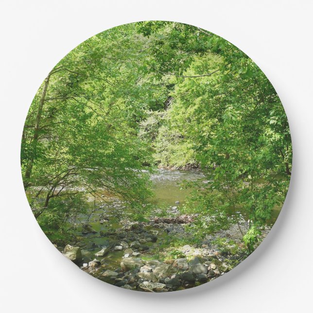Patapsco River View Maryland Nature Photography Paper Plate (Front)