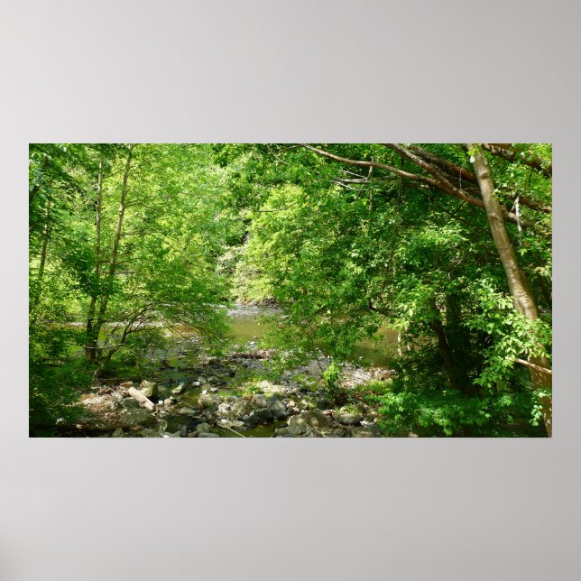 Patapsco River View Maryland Nature Photography Poster (Front)