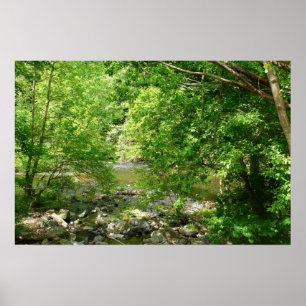Patapsco River View Maryland Nature Photography Poster