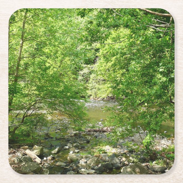 Patapsco River View Maryland Nature Photography Square Paper Coaster (Front)