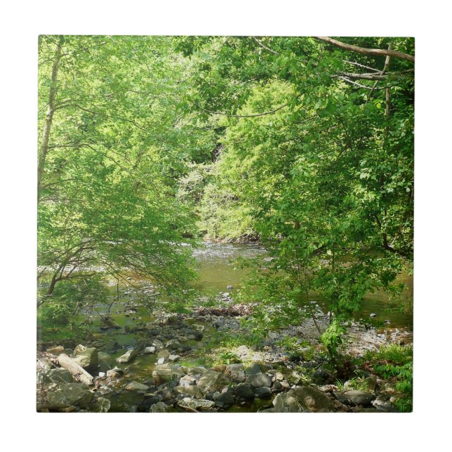Patapsco River View Maryland Nature Photography Tile (Front)