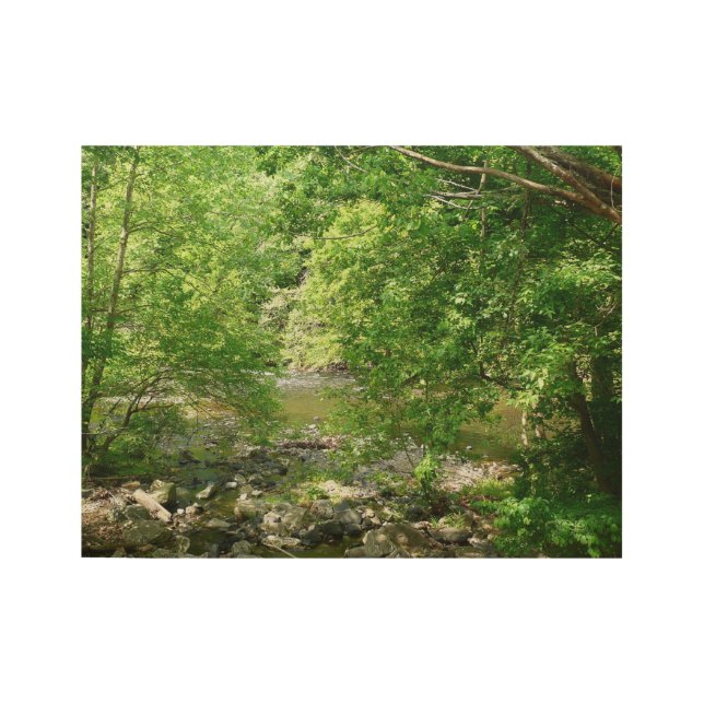 Patapsco River View Maryland Nature Photography Wood Poster (Front)