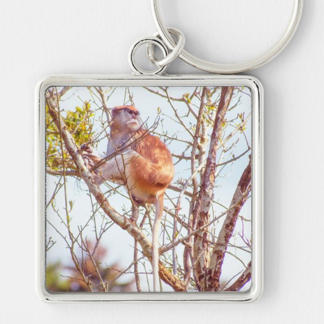 Patas is Up a Tree Key Ring (Front)