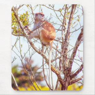 Patas is Up a Tree Mouse Mat