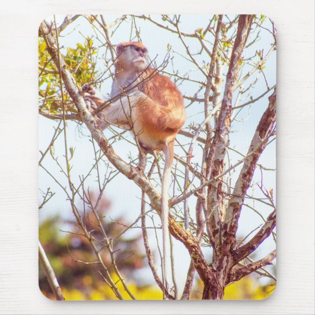 Patas is Up a Tree Mouse Mat (Front)