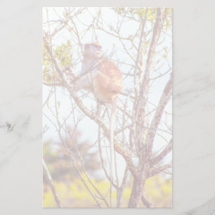 Patas is Up a Tree Stationery