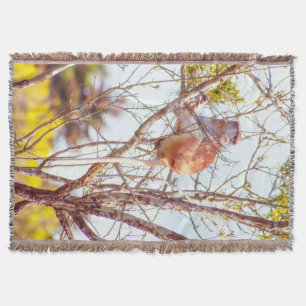 Patas is Up a Tree Throw Blanket
