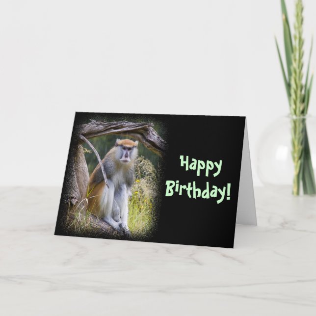 Patas Monkey Birthday Card (Front)