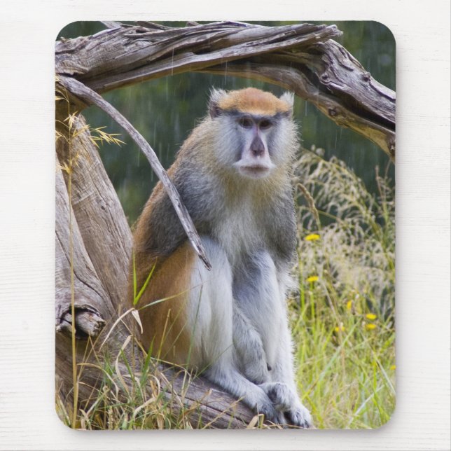 Patas Monkey Mouse Mat (Front)