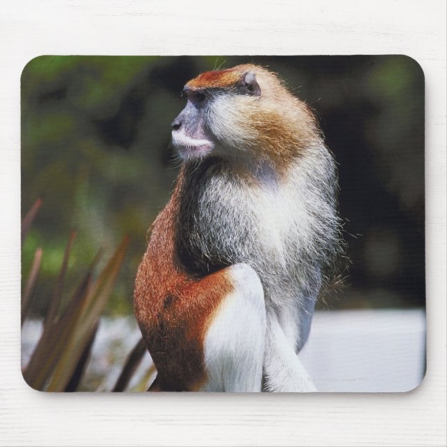 Patas monkey mouse mat (Front)