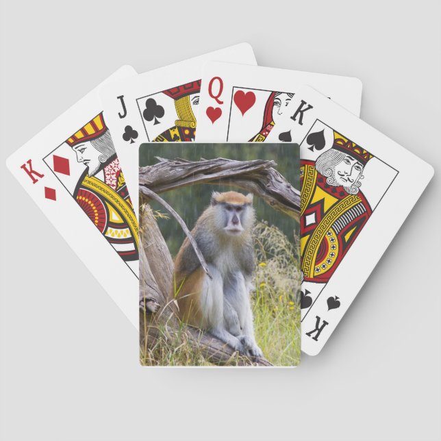 Patas Monkey Playing Cards (Back)