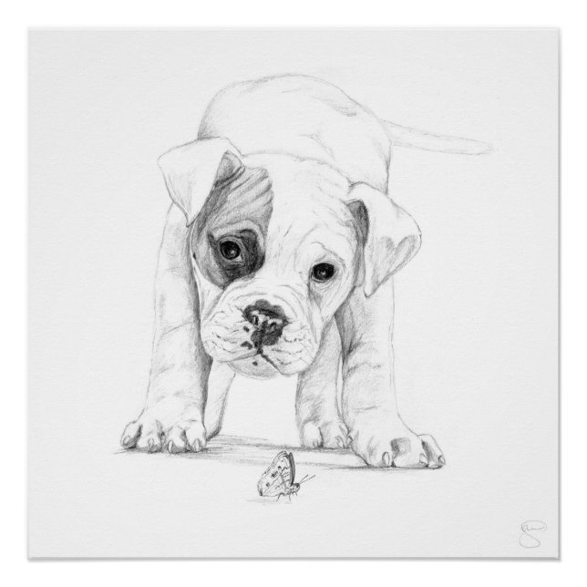 Patch A Boxer Puppy Drawing Art Poster (Front)