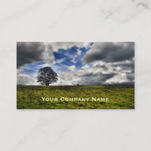 Patch of Blue Sky Custom Business Cards