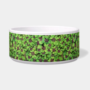 Patch of Four Leaf Clover, Sorrel, with Dew