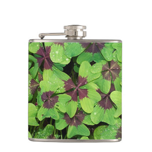 Patch of Four Leaf Clover, Sorrel, with Dew Hip Flask