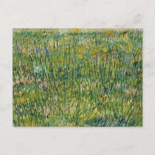 Patch of Grass Vincent van Gogh Postcard