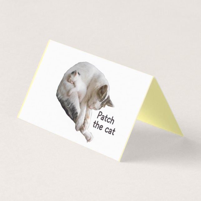 PATCH THE CAT AND HER KITTEN  (Front)