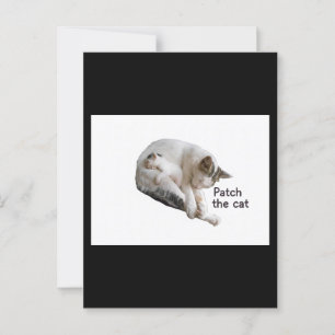 PATCH THE CAT AND HER KITTEN POSTCARD