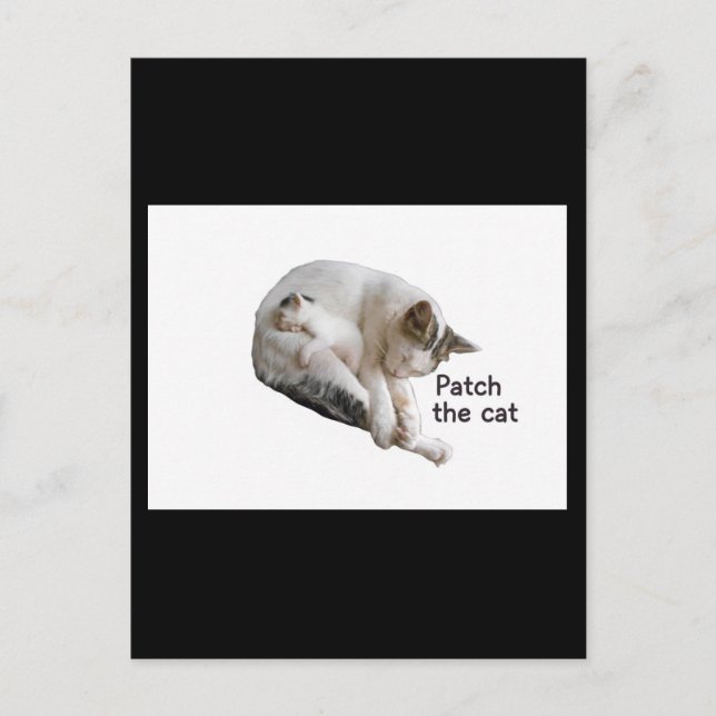 PATCH THE CAT AND HER KITTEN  POSTCARD (Front)
