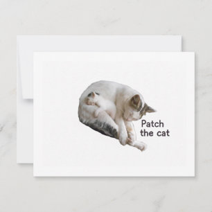 PATCH THE CAT AND HER KITTEN RSVP CARD