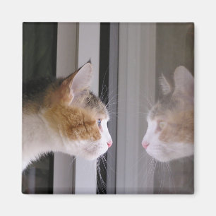 Patches Magnet