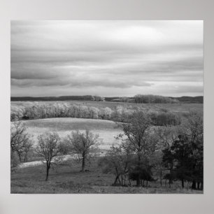 Patches of Sun Poster