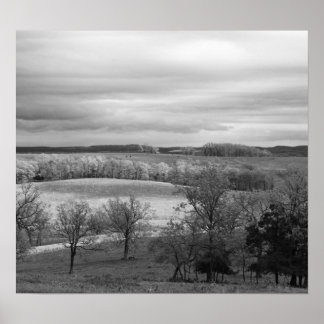 Patches of Sun Poster