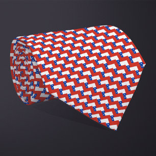 Patchwork Chile Flag Pattern Tie