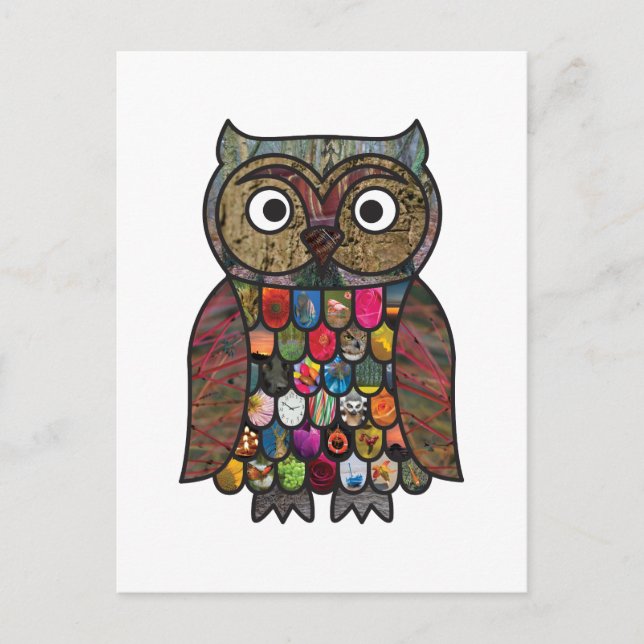 Patchwork Owl Postcard (Front)