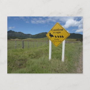 Pateke Sign Postcard 3