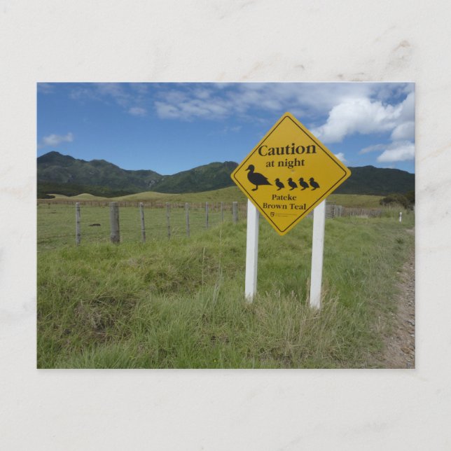 Pateke Sign Postcard 3 (Front)