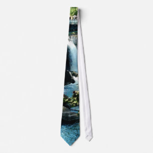 Paterson Falls Tie