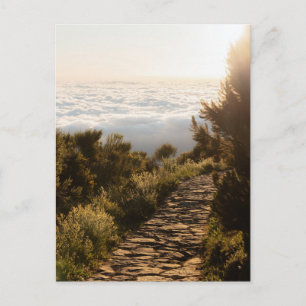 Path above the clouds with golden sunrise, Madeira Postcard