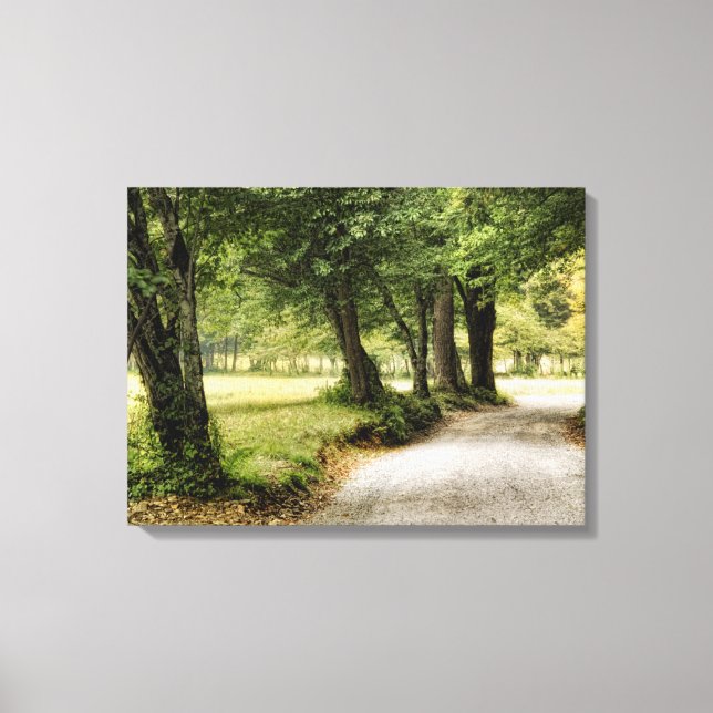 Path in the Country Canvas Print (Front)