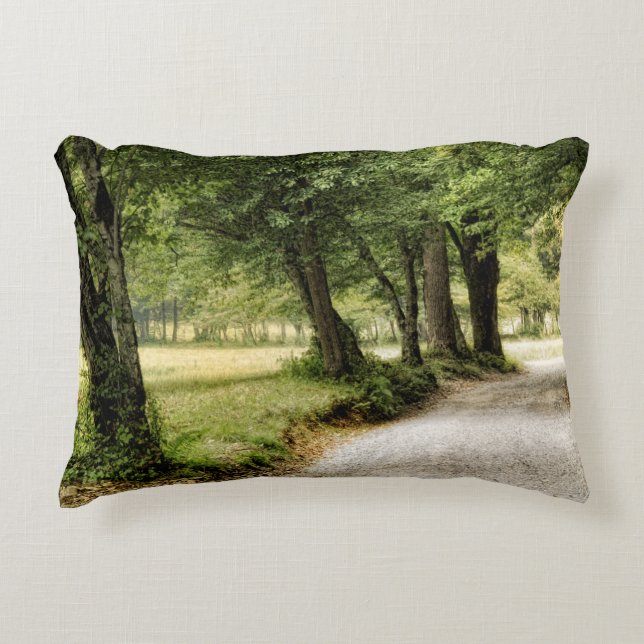 Path in the Country Decorative Cushion (Front)