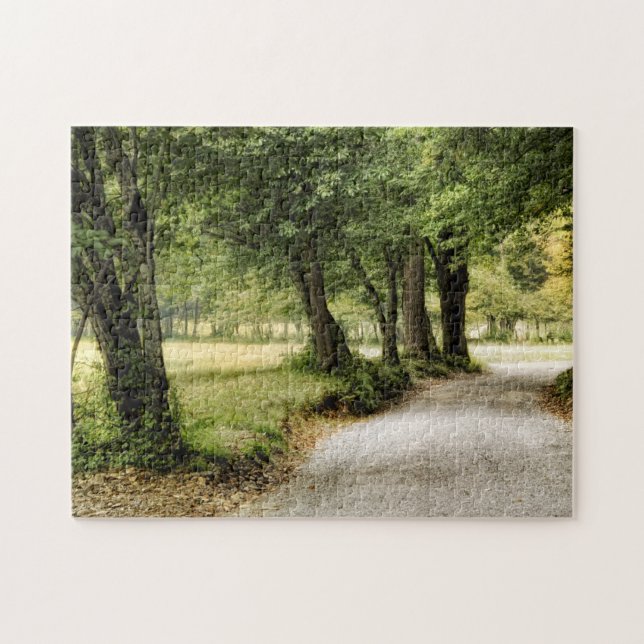 Path in the Country Jigsaw Puzzle (Horizontal)