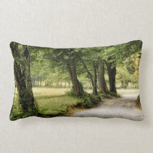 Path in the Country Lumbar Cushion