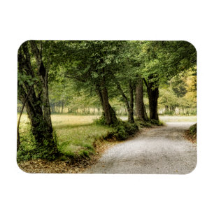 Path in the Country Magnet