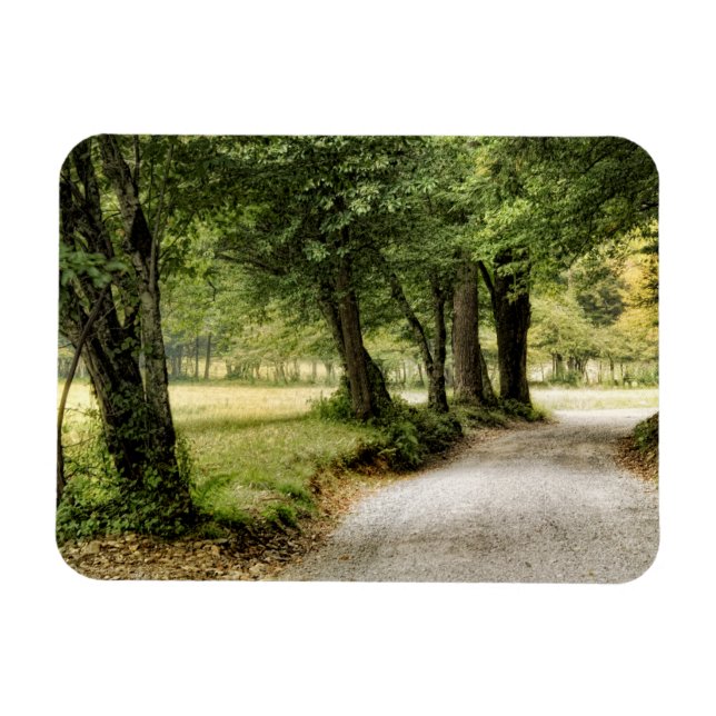 Path in the Country Magnet (Horizontal)