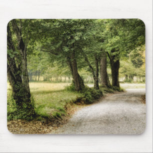 Path in the Country Mouse Mat